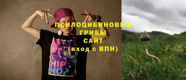 стафф Баксан