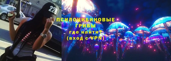 стафф Баксан